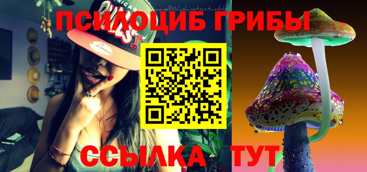 Трёхгорный  Псилоцибиновые грибы Cubensis  Вход с VPN 