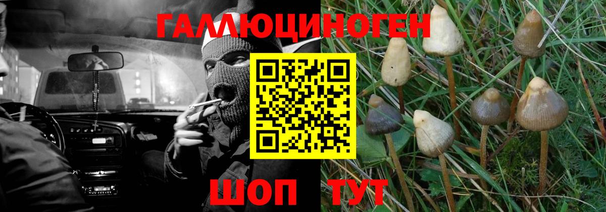 ГАШ Трёхгорный